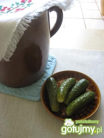 Moje ogórki małosolne