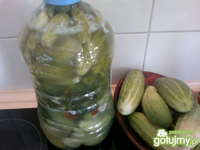 moje ogórki malosolne kiszone w butelce moje ogórki malosolne kiszone w butelce