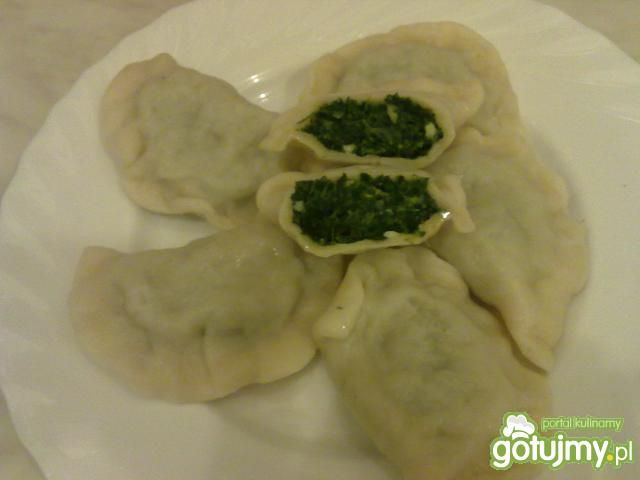 Moje pierogi ze szpinakiem Moje pierogi ze szpinakiem
