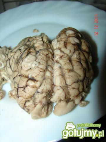 Mózg z cebulką