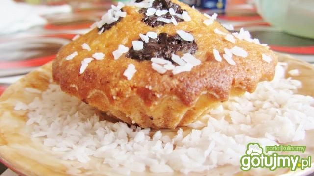 Muffinki : łaciatki Muffinki : łaciatki