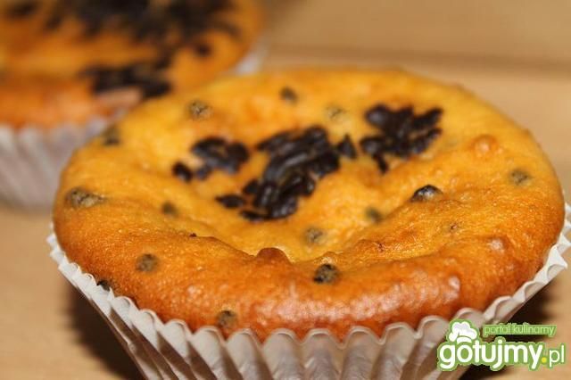 Muffinki waniliowe z gorzką czekoladą Muffinki waniliowe z gorzką czekoladą