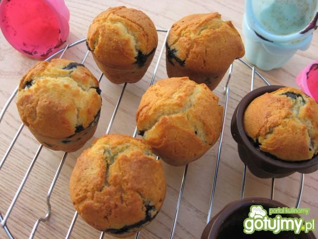 Muffinki z borówką amerykańską           Muffinki z borówką amerykańską