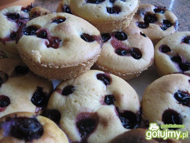 Muffinki z czarną porzeczką Muffinki z czarną porzeczką