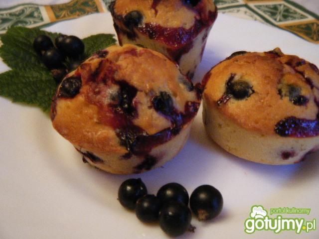 Muffinki z czarnymi porzeczkami  Muffinki z czarnymi porzeczkami