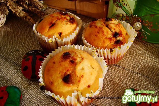 Muffinki z kawałkami czekolady  Muffinki z kawałkami czekolady