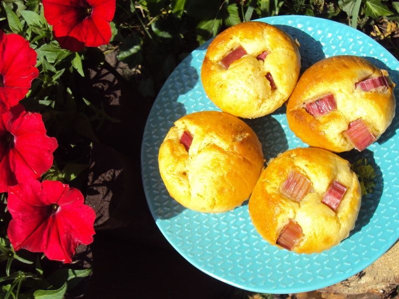Muffinki z rabarbarem Muffinki z rabarbarem