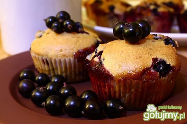 Muffiny z czarną porzeczką i czekoladą.