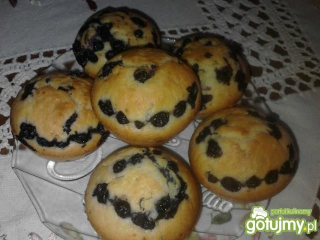 Muffiny z jagodami. Muffiny z jagodami.
