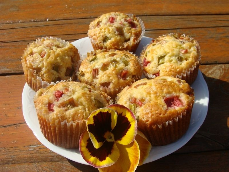 Muffiny z rabarbarem  Muffiny z rabarbarem