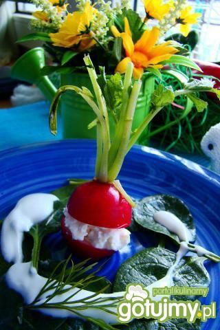 Nadziewane wiosenne rzodkiewki 