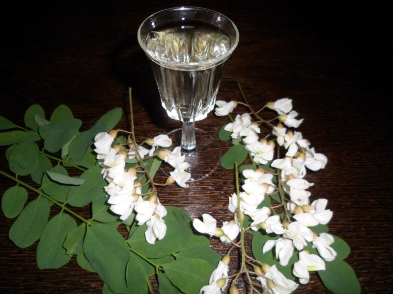 Nalewka akacjowa Nalewka akacjowa