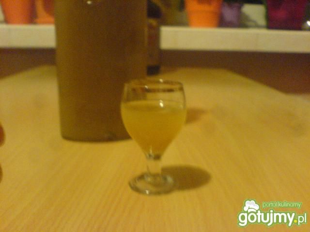 Nalewka jabłkowo-miętowa