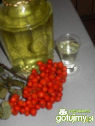 Nalewka jarzębinowa