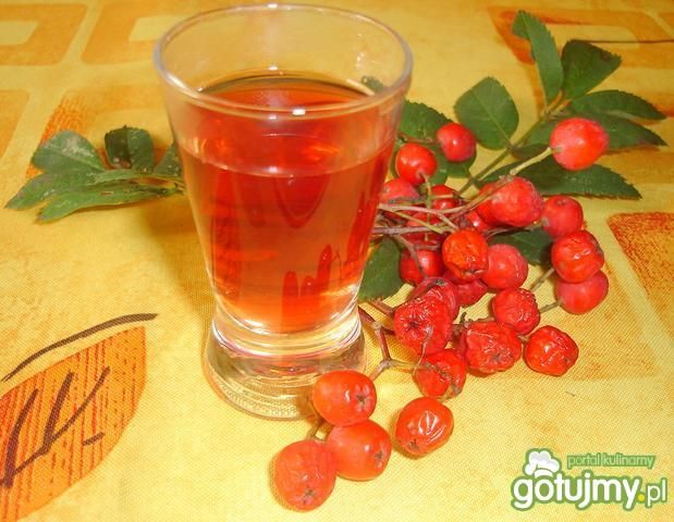 Nalewka jarzębinowa wg LIDZIA