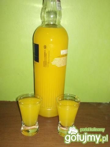 Nalewka pomarańczowa wg Alex