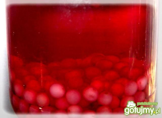 Nalewka z cytryńca chińskiego.