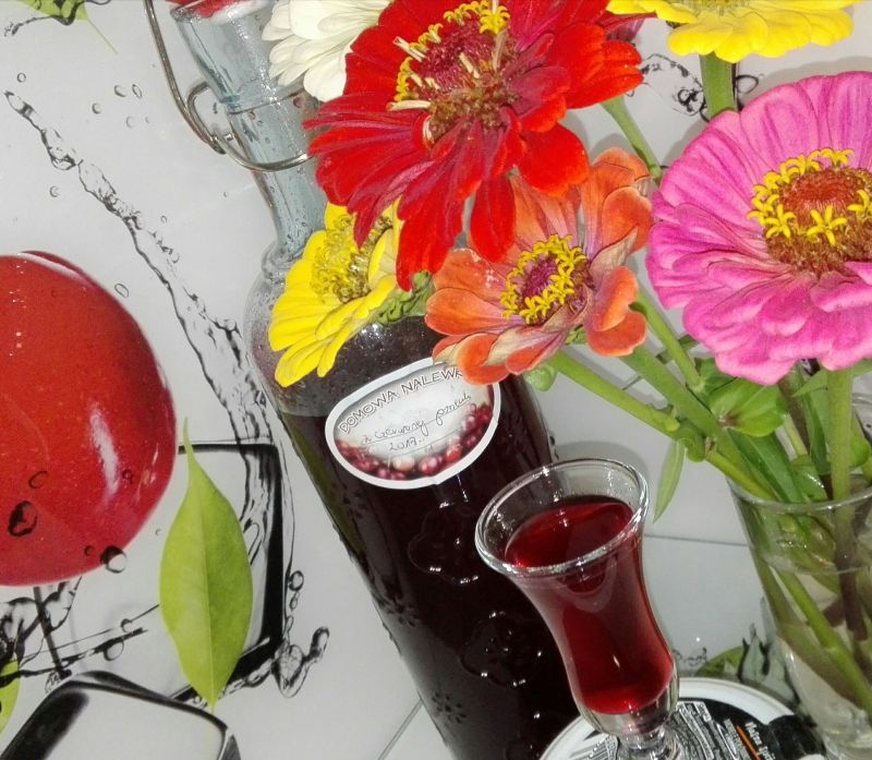 Nalewka z czerwonej porzeczki