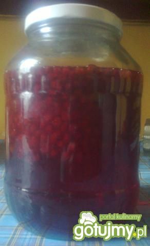 Nalewka z czerwonej porzeczki Nalewka z czerwonej porzeczki
