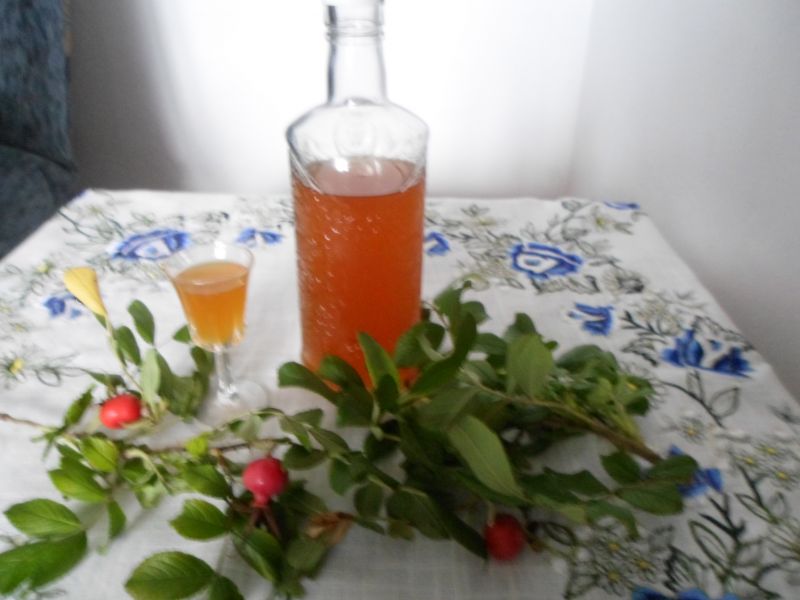 Nalewka z dzikiej róży