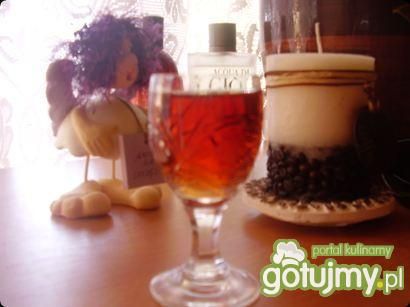 Nalewka z dzikiej róży