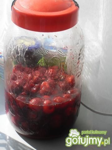 Nalewka z truskawek wytrawna lub deserow