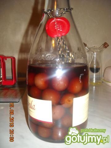 Nalewka z wiśni 8