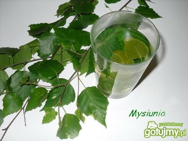 Napar oczyszczajacy organizm  Napar oczyszczajacy organizm