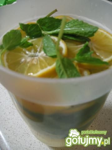 Napój cytrynowo- miętowy