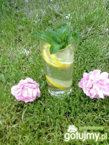 Napój letnie orzeźwienie Napój letnie orzeźwienie