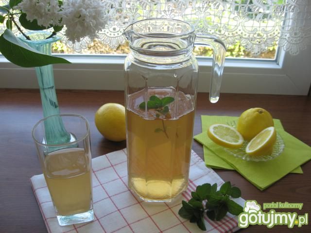 Napój ze świeżej mięty Napój ze świeżej mięty