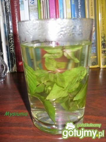 Naturalna herbata miętowa 