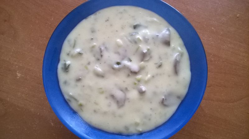 Nerki wieprzowe w sosie porowym Nerki wieprzowe w sosie porowym