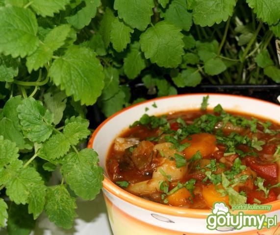 Niby giuwecz wersja 4 