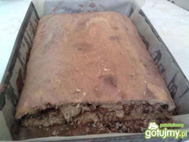 niedzielny kakaowiec niedzielny kakaowiec