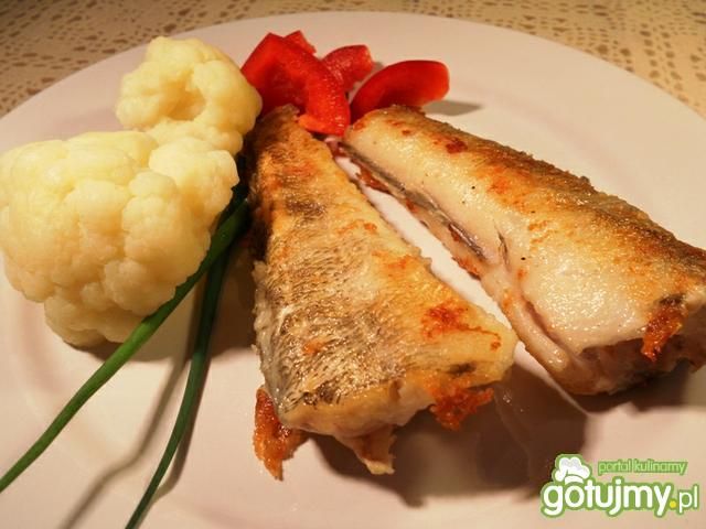 Nototenia smażona Nototenia smażona