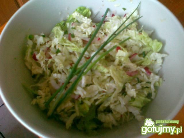 Obiadowa surówka z pekinki i rzodkiewki Obiadowa surówka z pekinki i rzodkiewki