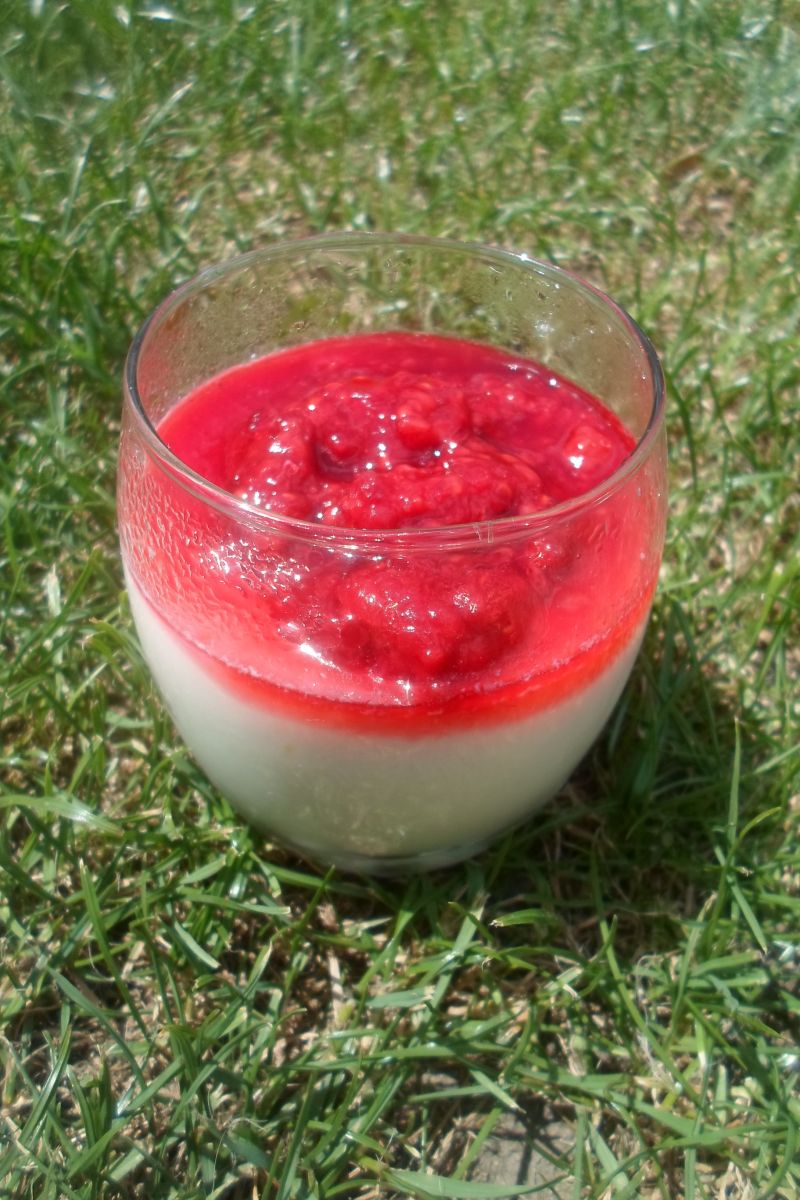 Odchudzona Panna Cotta  Odchudzona Panna Cotta