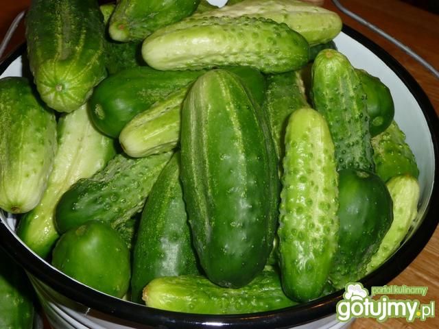 Ogóreczki kiszone na zimę