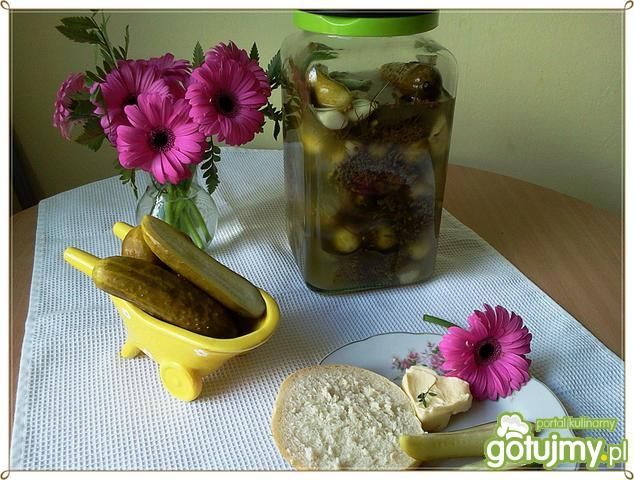 Ogóreczki małosolne po mojemu