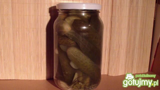 Ogórek kiszony w sloikach Ogórek kiszony w sloikach