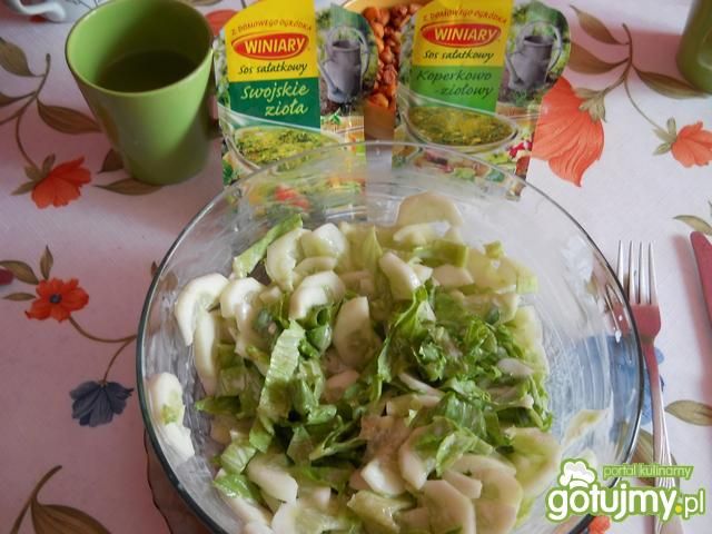 ogórek po nowemu ogórek po nowemu