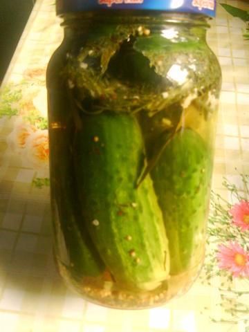 Ogórki kiszone Ogórki kiszone