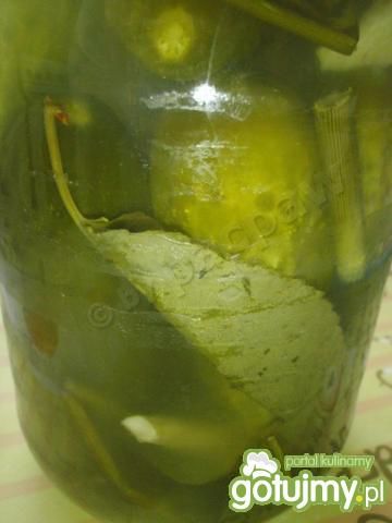 Ogórki kiszone Ogórki kiszone