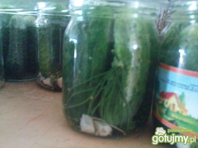 ogórki kiszone
