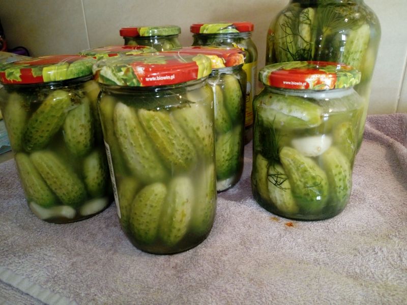 Ogórki kiszone Ogórki kiszone