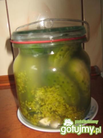 Ogórki kiszone Ogórki kiszone