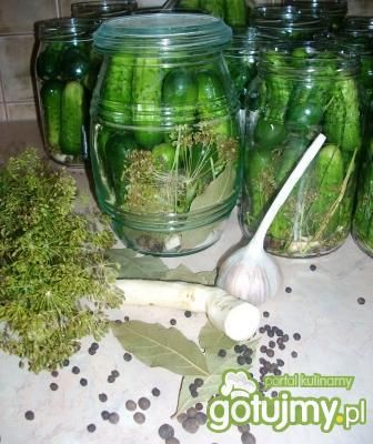 Ogórki kiszone Ogórki kiszone