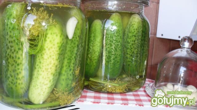 ogórki kiszone ogórki kiszone