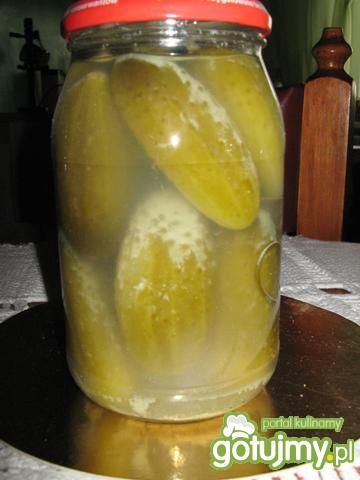 Ogórki kiszone 7